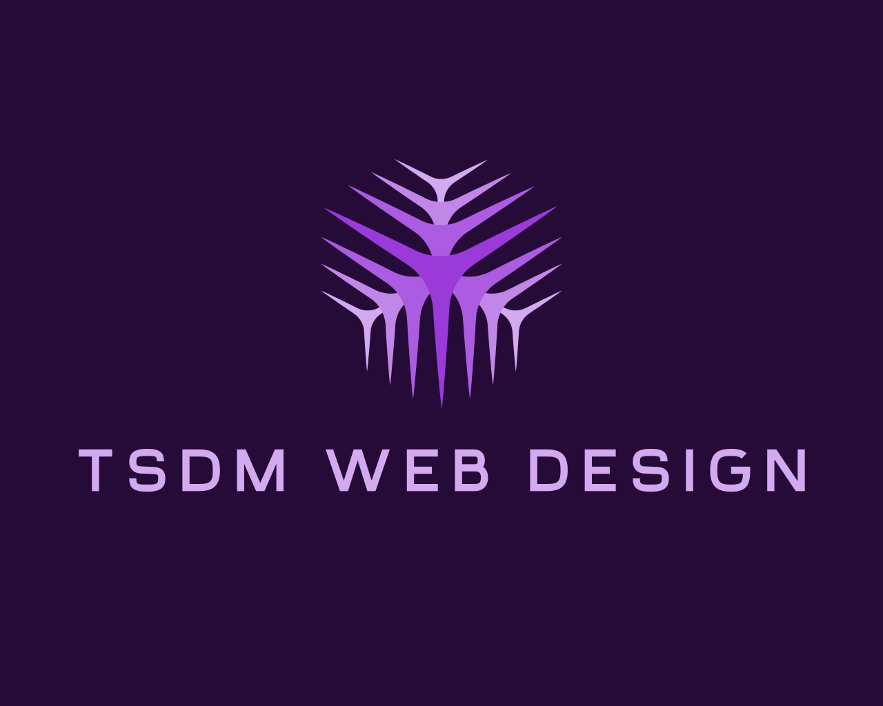 TSDM Web Designs Logo